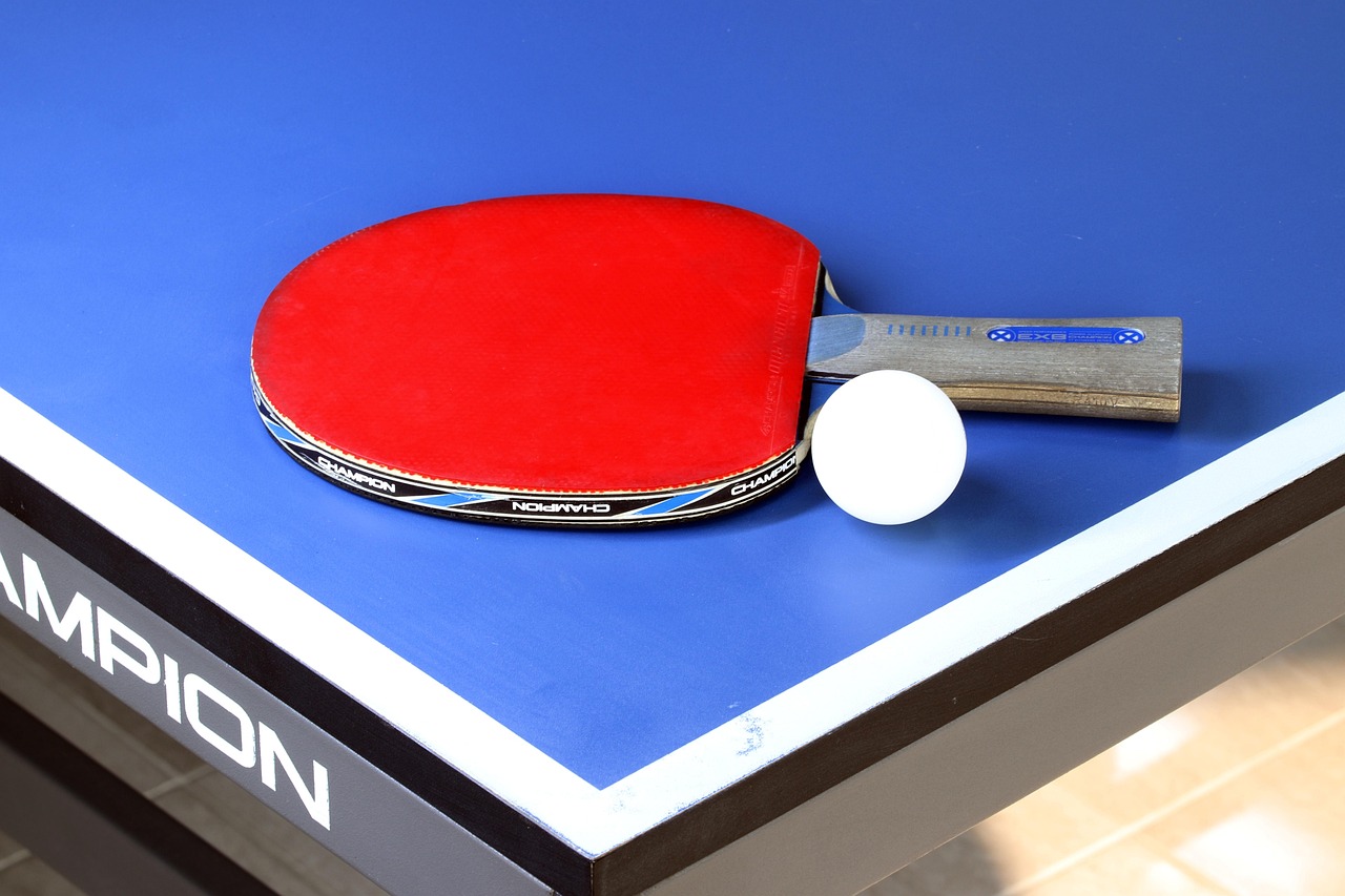 Table tennis, sports, game, ball, play, table, racket, activities, hobby, ping-pong ball, exercise, leisure, ping-pong paddles, white room, olympic, break, ping pong, health, table tennis, table tenni