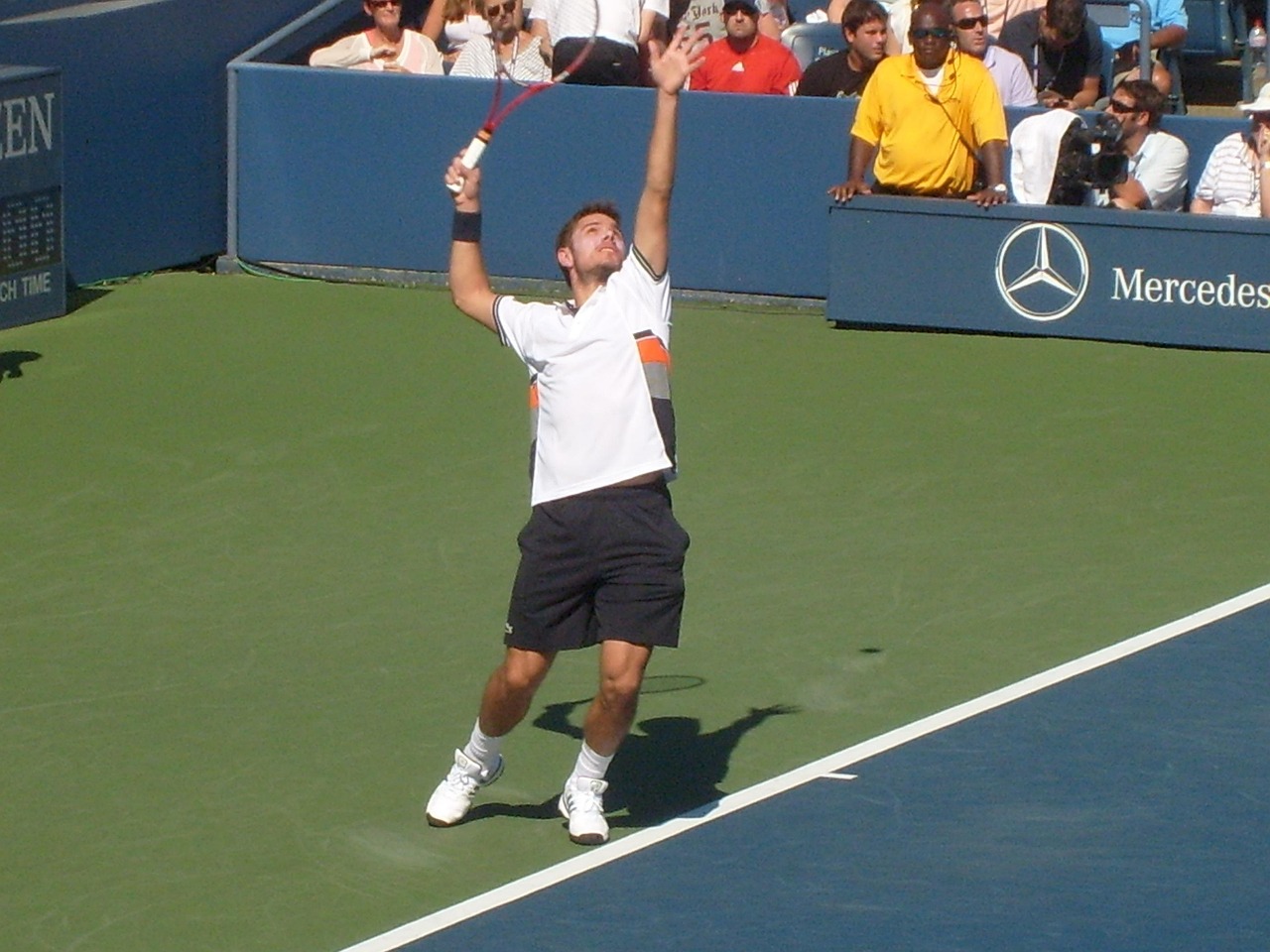 Stanislas wawrinka, star, player, athlete, serving, court, sports, tennis, 2010, us open, competition, famous, playing, competing, green stars, green sports, tennis, tennis, tennis, tennis, tennis, us