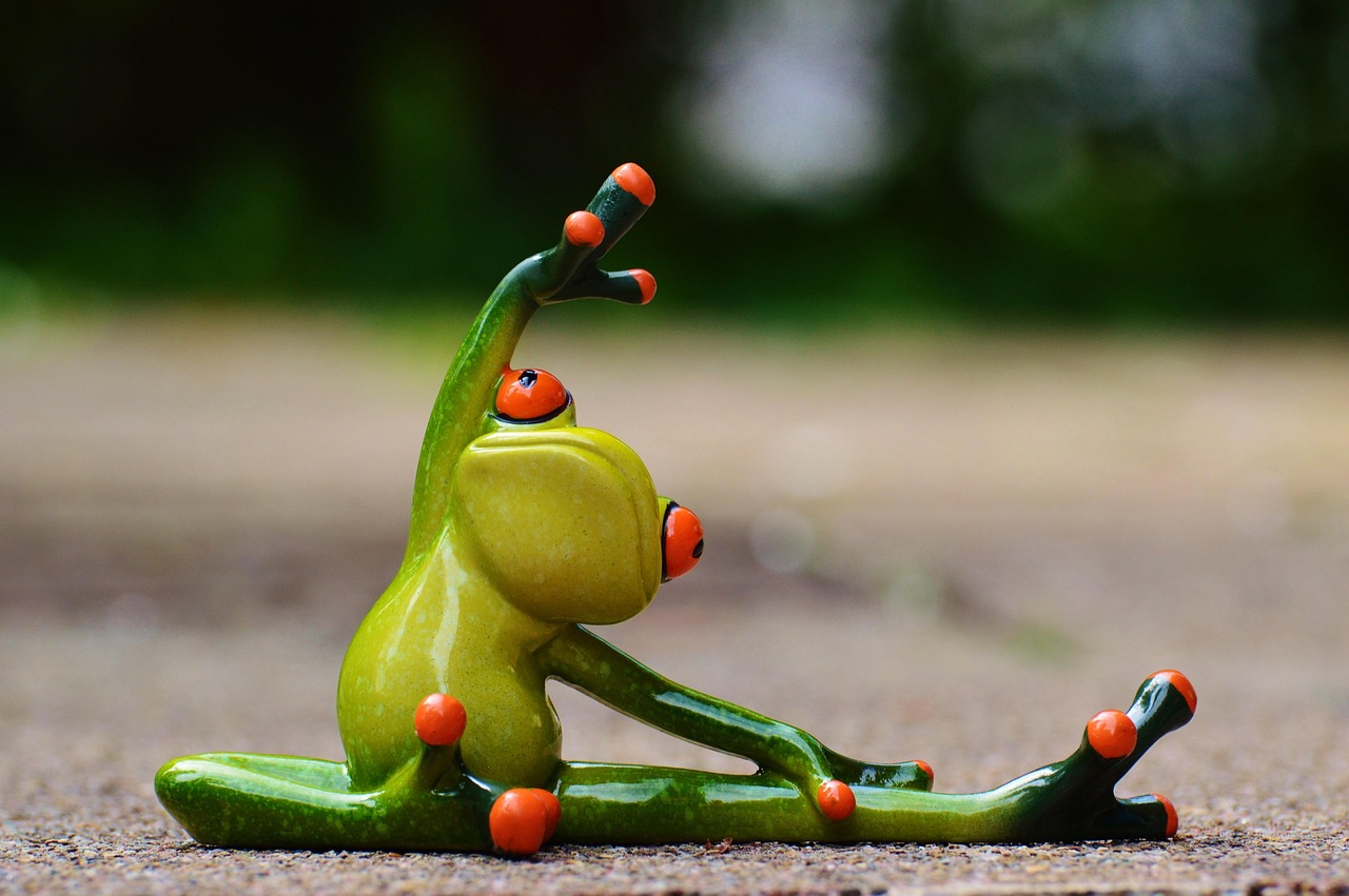 Sports, gymnastics, frog, fun, fitness, fit, athletic, training, gymnastics, gymnastics, gymnastics, frog, frog, frog, frog, fitness, fitness, fitness, fitness, fitness, fit, fit, training, training,