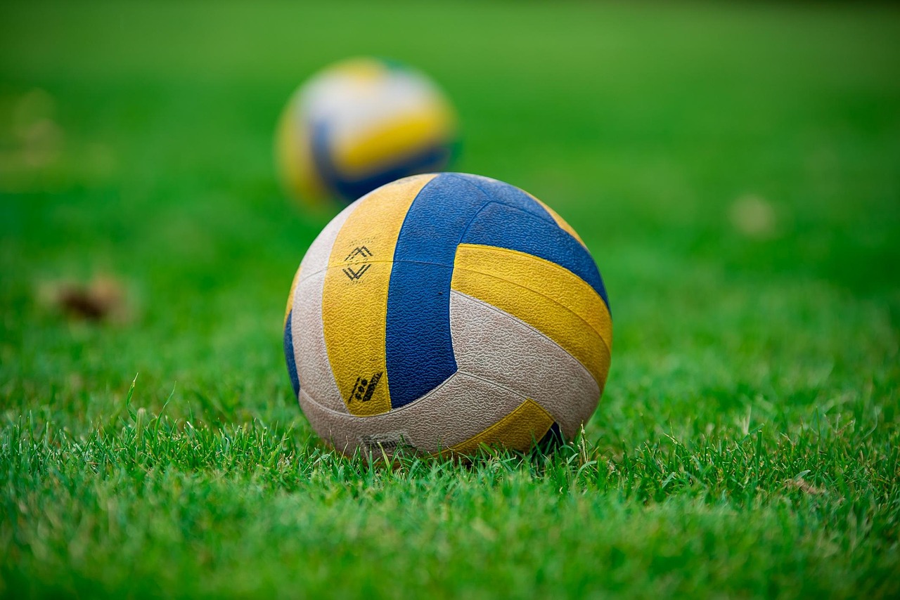 Volleyball, ball, sports, grass, game, nature, equipment, to play