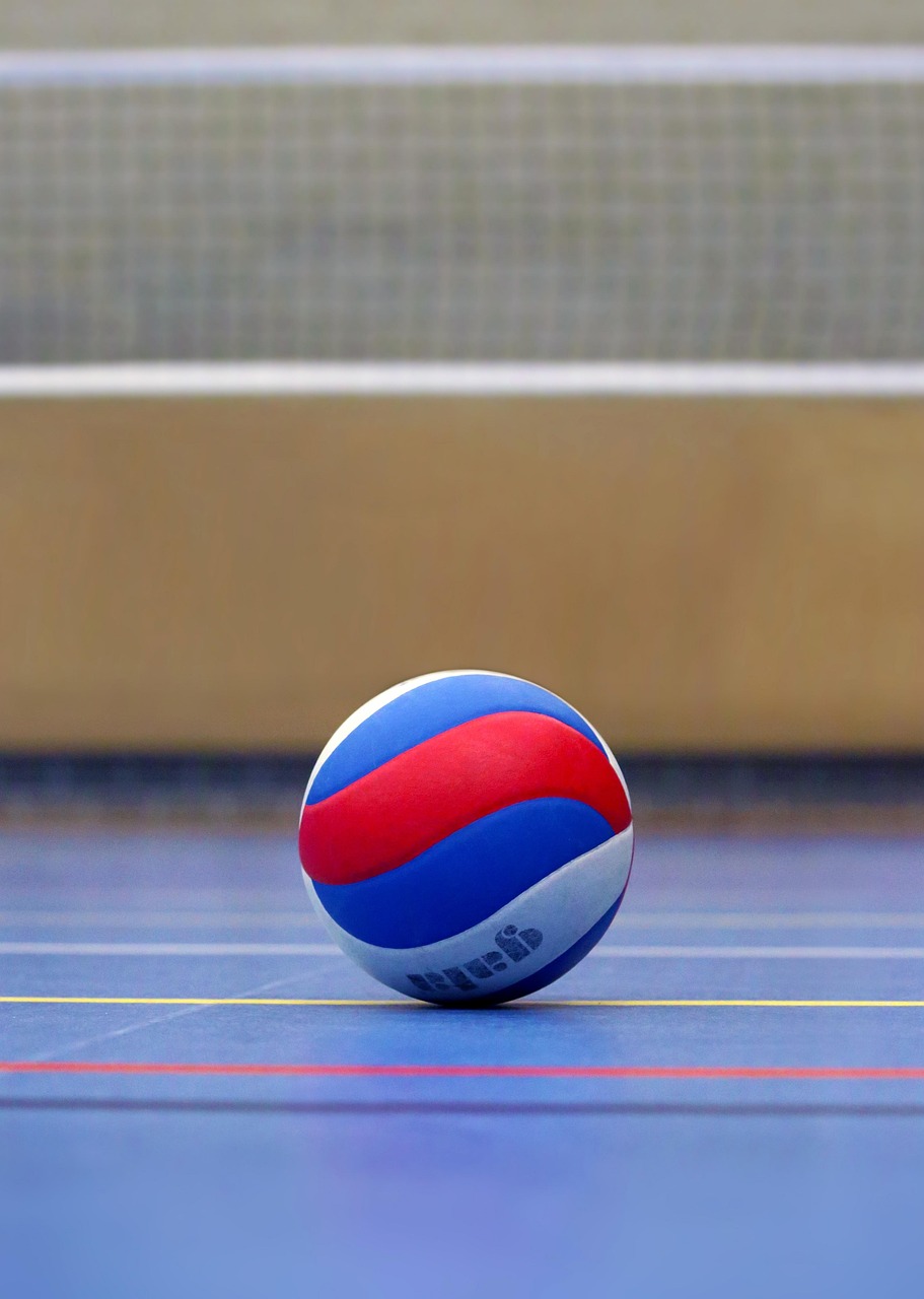 Volleyball, ball, volleyball field, sports, volley, ball sports, team sport, lines, playing field, competition, training, gym, team, bullet, leather ball, team sports, championship, web, athletic, hal