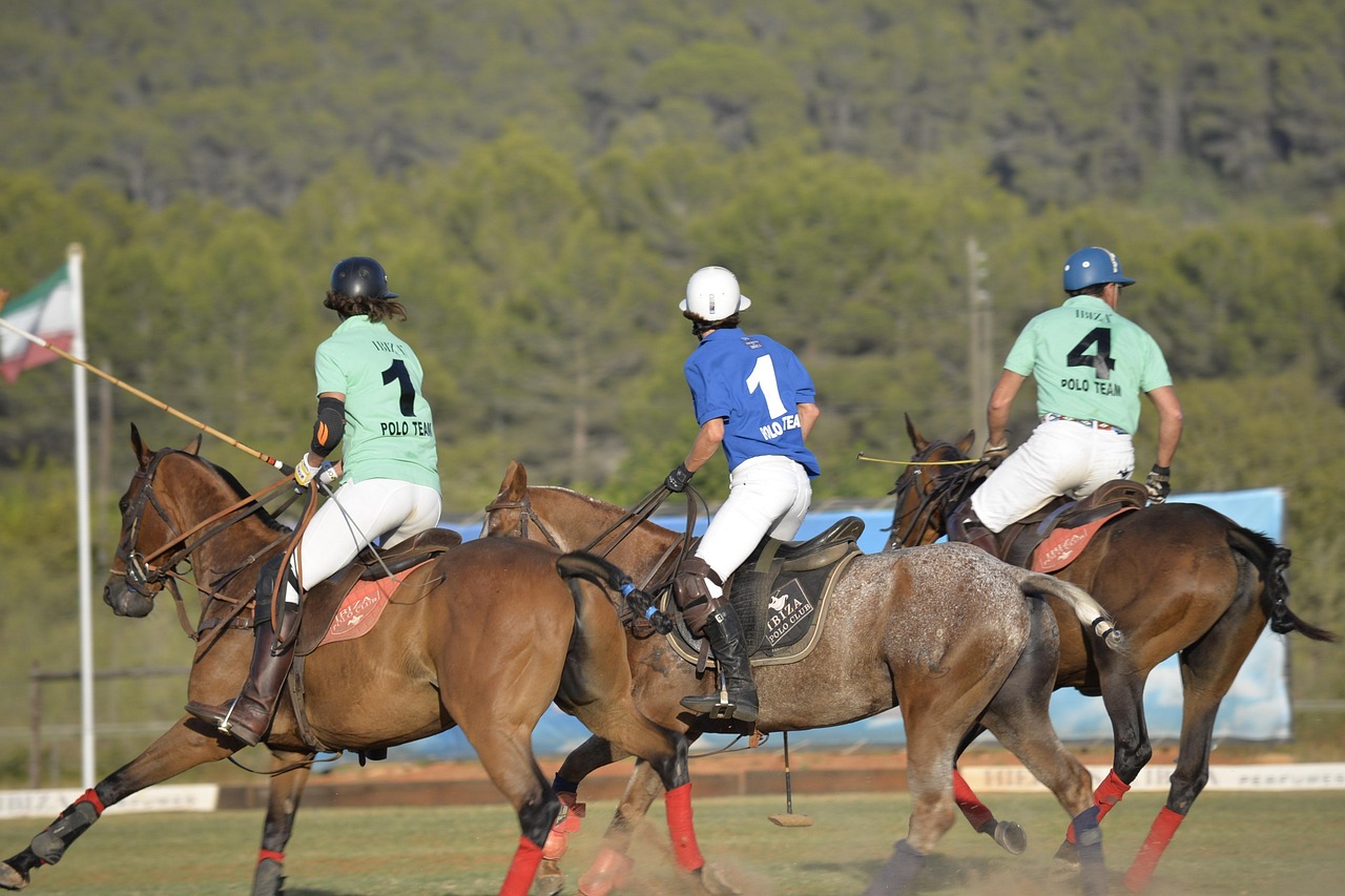 Horse, sport, polo, nature, competition