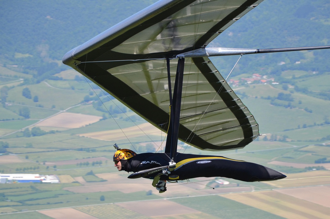 Hang gliding, delta-wing, meeting, competition, hang gliding, hang gliding, hang gliding, hang gliding, hang gliding
