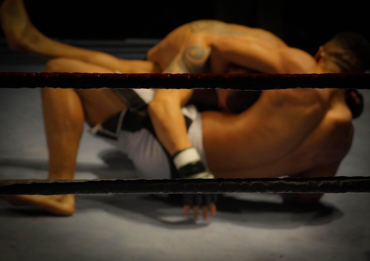 Wrestling, fighting, martial arts, fighters, competition, strong, fight, sport, strength, power, man, people, conflict, wrestler, challenge, person, match, anger, fighter, athlete, compete, wrestle, r