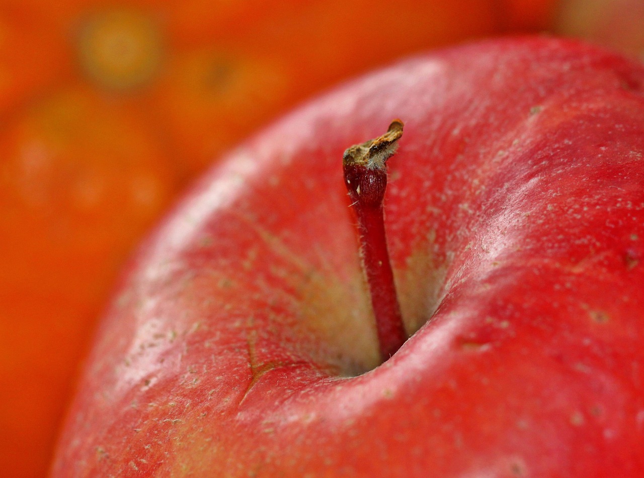 Apple, fruit, vitamins, food, healthy, meal, fresh, apple stalk, stalk, apple peel, yummy, apple, apple, apple, apple, apple