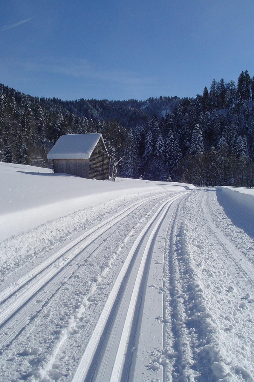 Winter landscape, cross-country ski run, nature, cross country skiing
