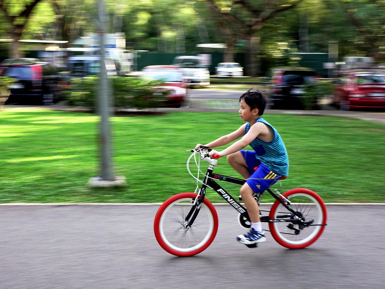 Bicycle, bike, outdoor, cycling, sport, leisure, nature, road, boy, speed, child, kid, bicycle, bicycle, bicycle, bicycle, bicycle, bike, bike, cycling, cycling, child, child