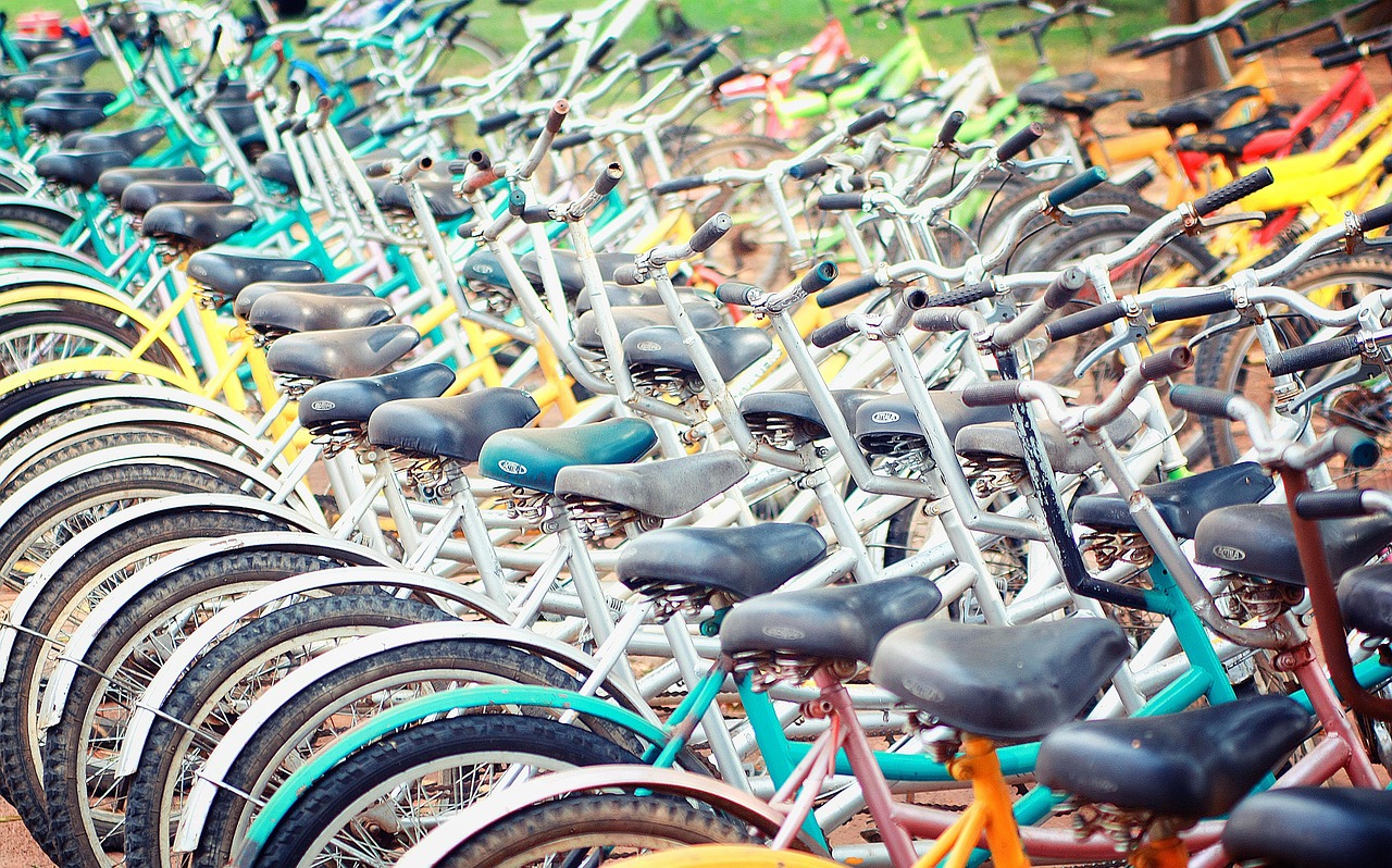 Bike, parking, cycle, bicycle, cyclist, biking, cycling, sport, ride, trail, mountain, healthy, trip, active, activity, city, action, adventure, race, bicyclist, woman, nature, outdoor, landscape, lei
