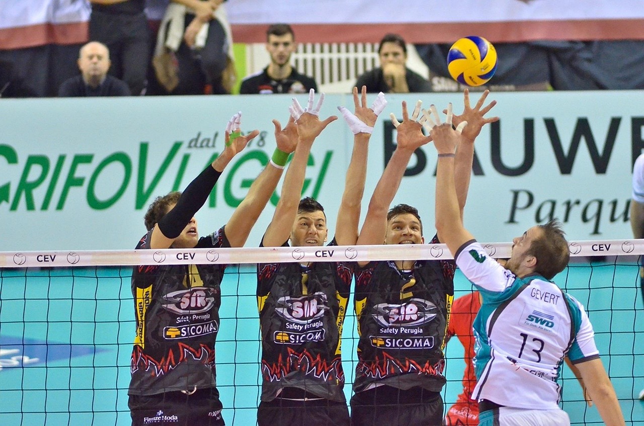 Volleyball, ball, sport, volleyball team, volleyball, volleyball, volleyball, volleyball, volleyball