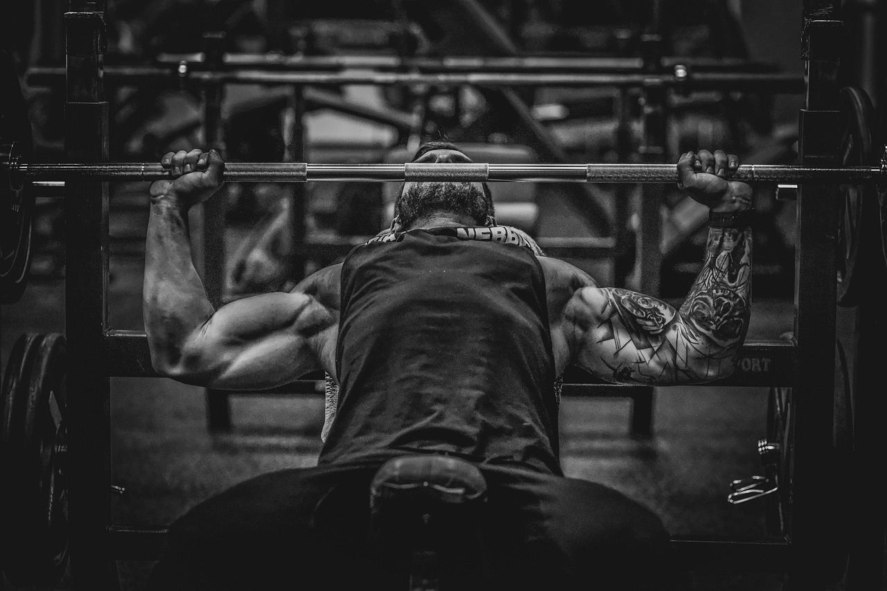 Man, strong, fitness, gym, body, muscles, model, tattoos, gym, gym, gym, gym, gym